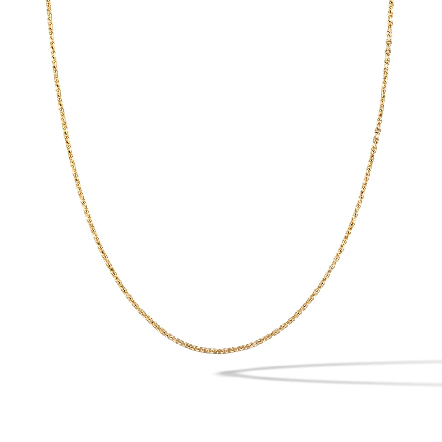 Rolo Chain Necklace - Gold